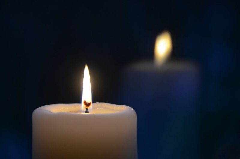 Palm Grove Double Wick Candle